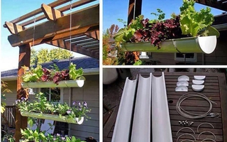 15 mẫu thiết kế trồng cây trong ống nhựa PVC vừa đẹp vừa tiết kiệm không gian