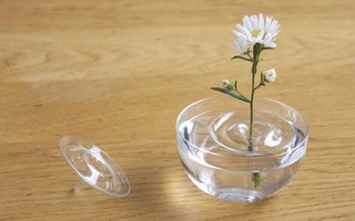 Mê mẩn với 25 mẫu bình cắm hoa độc đáo, lạ mắt  