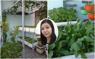 Vườn rau vỏn vẹn 8m² nhưng có tới 40 thùng rau các loại của bà mẹ trẻ ở Sài Gòn