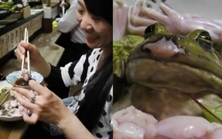 3 món ăn kỳ dị chỉ có ở Nhật