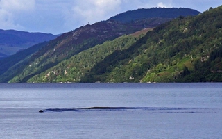 Bắt gặp sinh vật lạ di chuyển trên hồ Loch Ness  