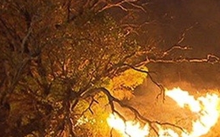 Đông Nam Australia trải qua đợt nóng khắc nghiệt gần 50 độ C