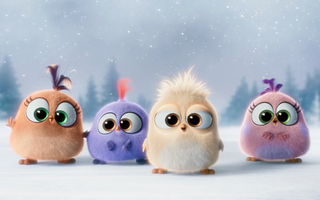 "Tan chảy" với bài hát Giáng sinh cực yêu của các chú chim "Angry Birds"
