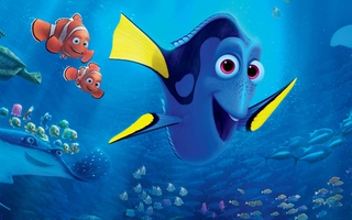 "Finding Dory": Bạn có thể quên tất cả, chỉ cần nhớ luôn có người ở đó yêu mình!
