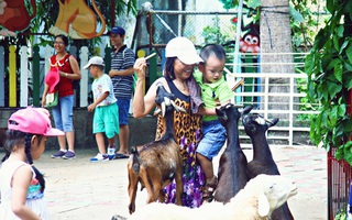 Trẻ em thích thú chơi với dê cừu trong vườn thú thiếu nhi
