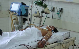 Điếc vĩnh viễn vì ăn lợn bệnh