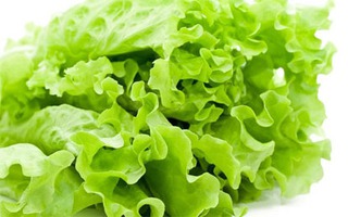 5 lợi ích tuyệt vời cho sức khỏe từ rau diếp