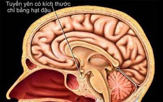 Giải mã căn bệnh triệu người mắc một của Wanbi Tuấn Anh