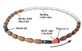 Cách tính ngày an toàn để không lo "dính" bầu