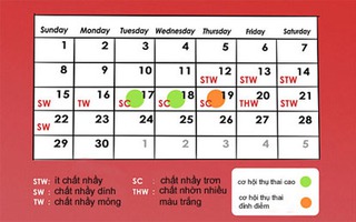 Dấu hiệu rụng trứng ở những chị em có "đèn đỏ" không đều