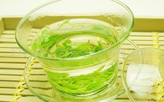 Lợi ích sức khỏe của trà ngải cứu