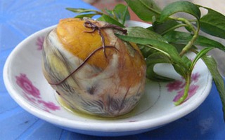 Thai phụ nguy kịch sau khi ăn trứng vịt lộn