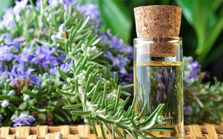 5 loại thảo dược dễ tìm có công dụng phòng bệnh ung thư