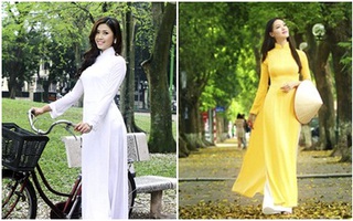 Mỹ nhân Việt đẹp thanh bình bên hàng cây xanh Hà Nội