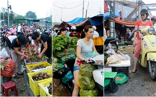 Giá thực phẩm rẻ ngỡ ngàng tại các chợ đầu mối khắp Hà Nội