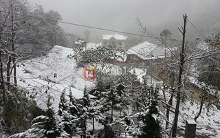 Tuyết rơi dày, phủ trắng Sapa