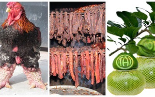 Đặc sản Tết sang chảnh, giá trăm triệu vẫn đắt hàng