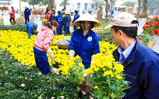 Chi 11 tỷ đồng cho ánh sáng, đường hoa, Hà Nội rực rỡ trong Tết Giáp Ngọ 