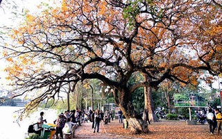 Cuối tuần, miền Bắc sẽ ấm lên
