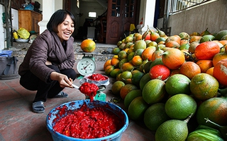 Kiếm tiền tỷ mỗi năm nhờ quả "quà tặng từ thiên đường"