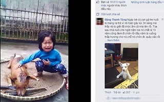 Bức ảnh em bé khóc khi chú chó bị thui khiến hàng nghìn người tranh cãi