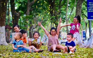  Khoảnh khắc dung dị mà ngọt ngào khi mùa lá rơi nhuộm vàng Hà Nội
