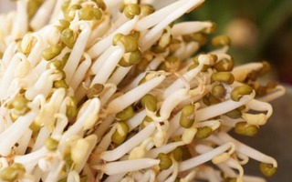 Cách làm giá đỗ kiểu truyền thống cực ngon