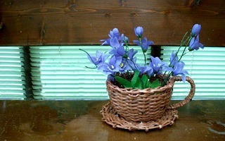 "Tách nở hoa" handmade trang trí nhà ngày xuân