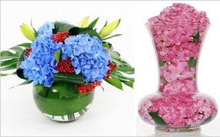 5 cách cắm hoa cẩm tú cầu tuyệt đẹp và sáng tạo 
