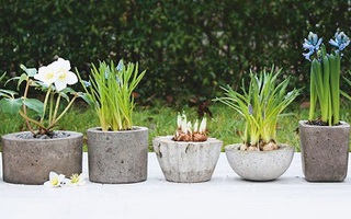 Tự chế chậu trồng cây vintage thật dễ dàng