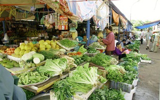Rau xanh tăng giá mạnh vì trời rét đậm