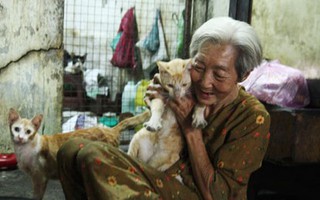 Ghé thăm ngôi nhà của cụ bà cưu mang hơn 50 chú chó, mèo bị bỏ rơi giữa Sài Gòn
