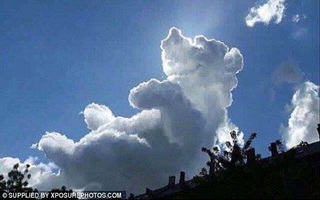 Đám mây giống hệt chú gấu nằm ngửa trên bầu trời