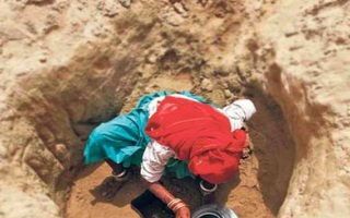 Dân làng thi nhau chỉ trích người phụ nữ này "điên rồ" cho đến khi...