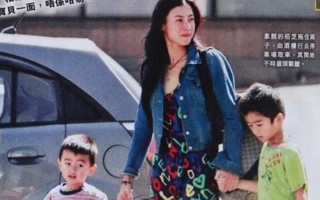 Trương Bá Chi không rút lui khỏi làng giải trí