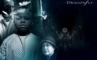 Phim HBO, Star Movies ngày 24/9: Dragonfly