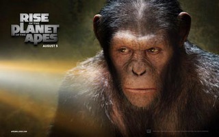 Phim HBO, Star Movies 23/9: Sự nổi dậy của loài khỉ