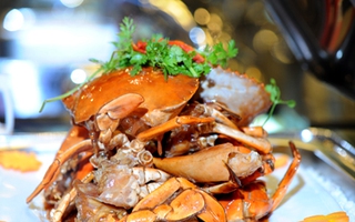 Hoàng Yến Buffet chào đón mùa lễ hội