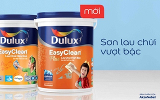 Chọn “thần hộ vệ” cho bức tường nhà