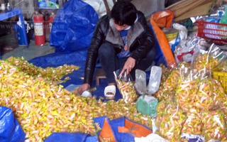 900kg kẹo ngô dẻo sản xuất bằng nguyên liệu trôi nổi