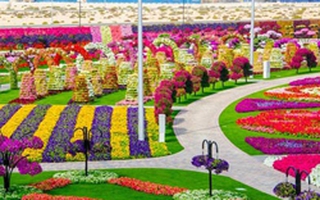 Ngắm nhìn vẻ rực rỡ của vườn hoa tự nhiên lớn nhất thế giới