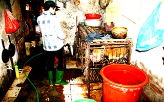 "Giặt" nội tạng thối bằng hoá chất, mổ gia cầm trong nhà vệ sinh