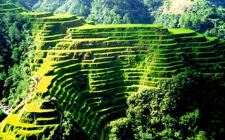 Những ruộng bậc thang châu Á “hút hồn” khách du lịch