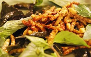 Lên Mường Lát thưởng thức... sâu măng