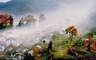 Bảng lảng mái ngói Vụ Nguyên trong sương