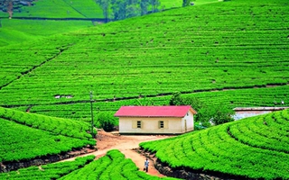 Việt Nam lọt top những điểm đến giá rẻ nhất năm 2014