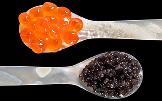 Trứng cá hảo hạng Caviar, "ngọc trai đen" từ biển cả