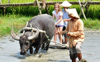 3 tour du lịch dân dã của Việt Nam "đốn tim" khách nước ngoài