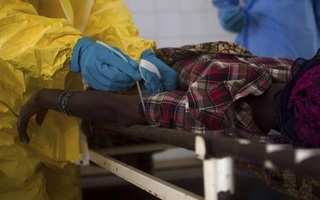Ebola có thể trầm trọng hơn vì sốt xuất huyết do virus biến thể vào mùa 