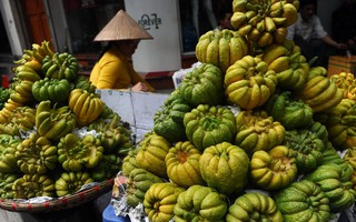 Hình ảnh trái Phật thủ trưng Tết ở Việt Nam trên báo nước ngoài
